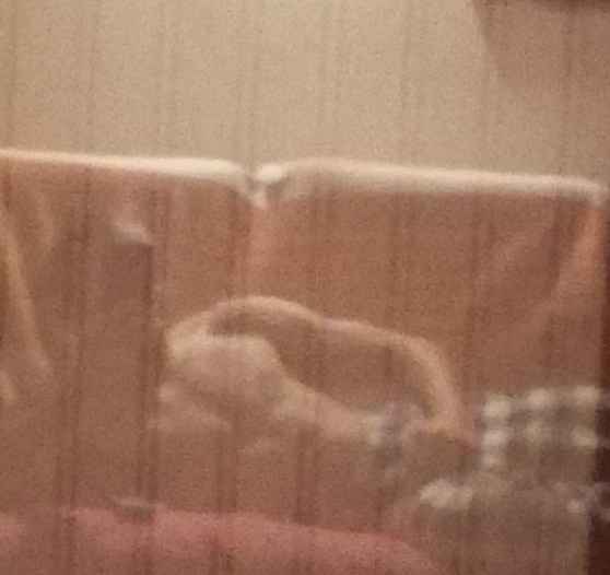 Profil de Pamphile, 27 ans, Gay fute à Blankenburg (Berne)